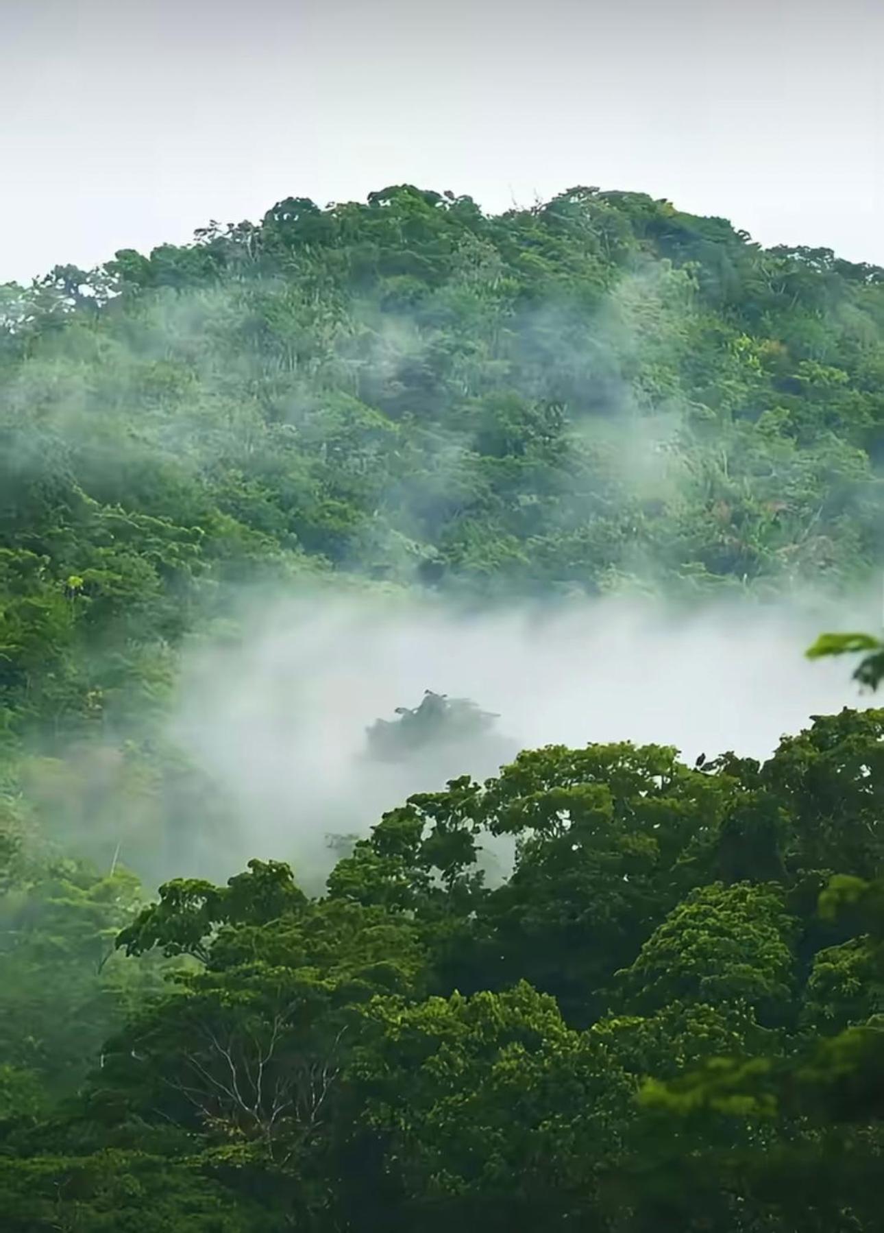ホテル Ranchos De Chalia Panama ポルトベロ エクステリア 写真