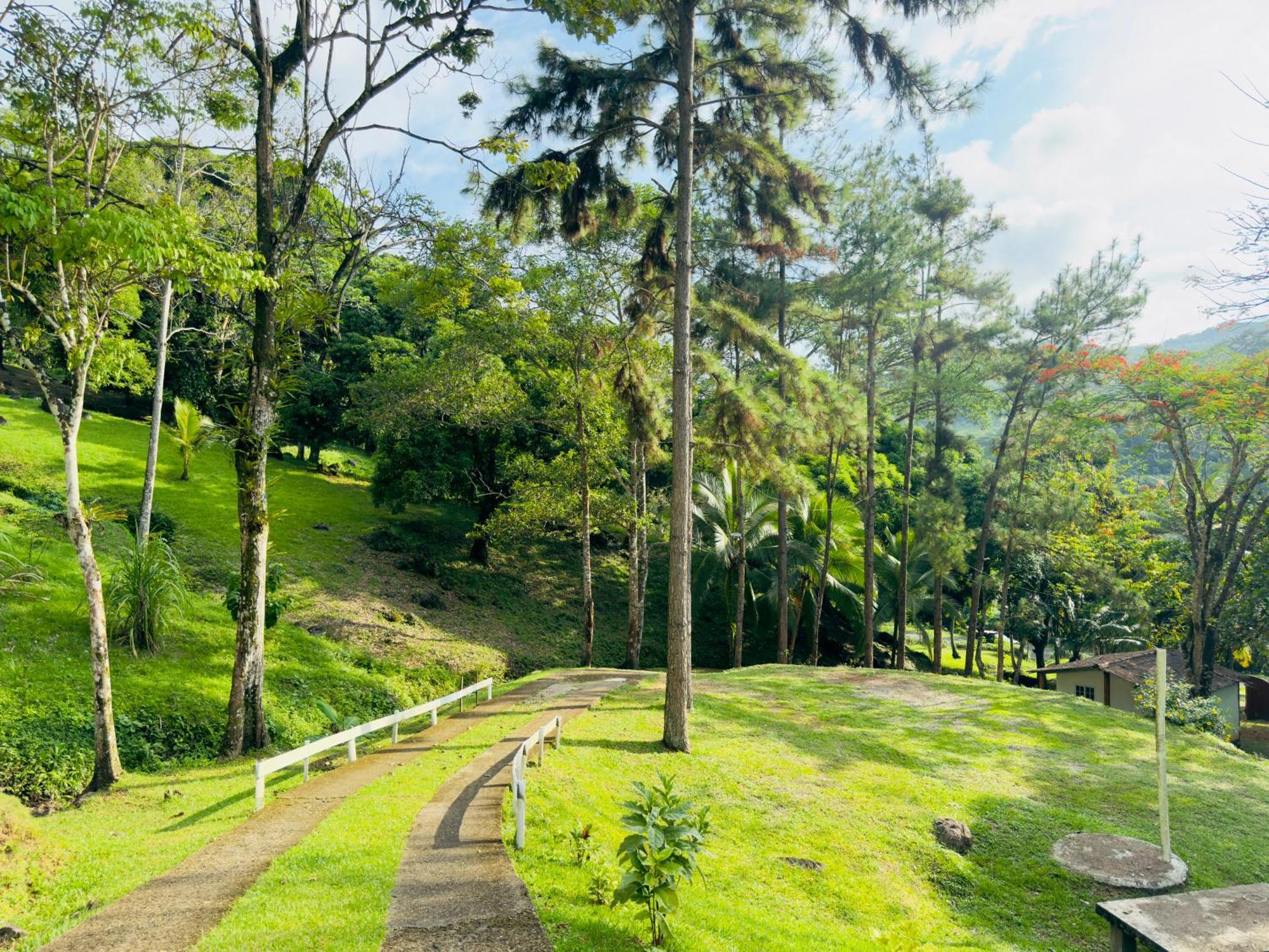 ホテル Ranchos De Chalia Panama ポルトベロ エクステリア 写真