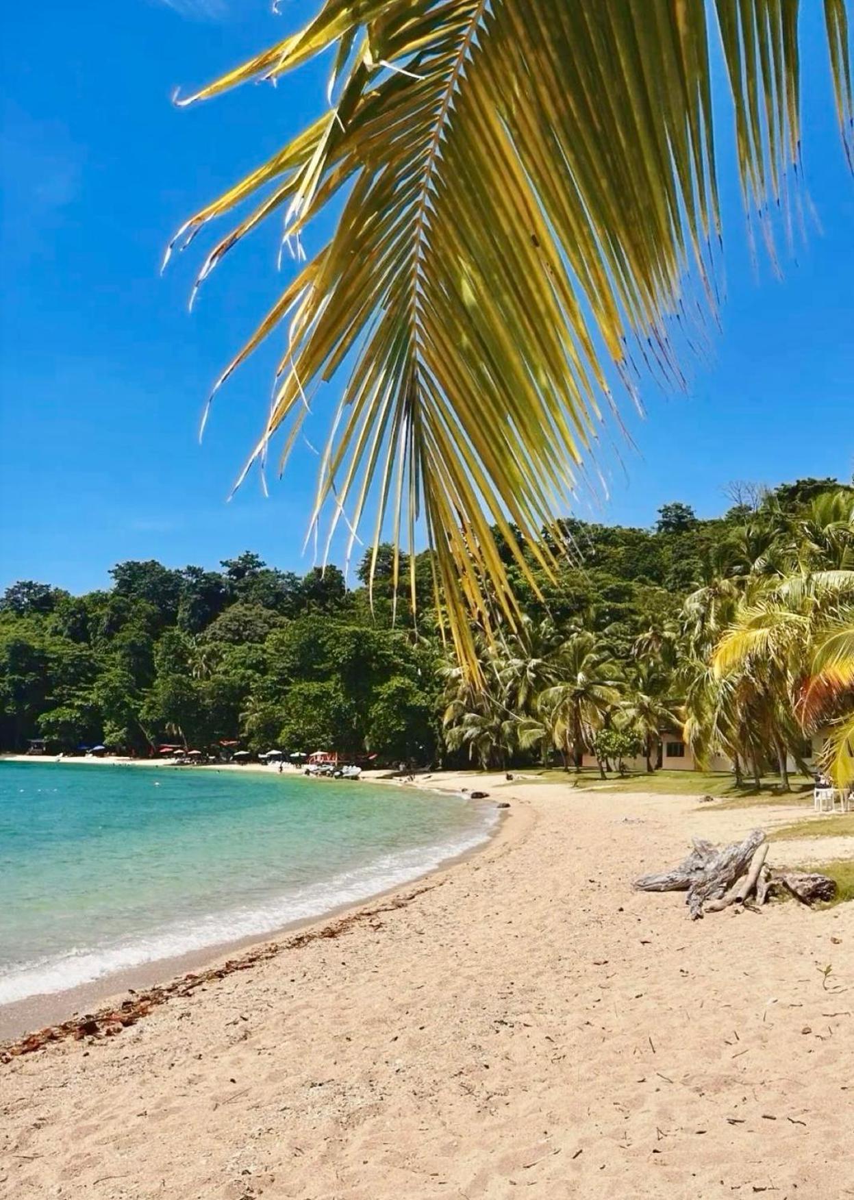 ホテル Ranchos De Chalia Panama ポルトベロ エクステリア 写真